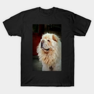 Tibetan Mastiff T-Shirt